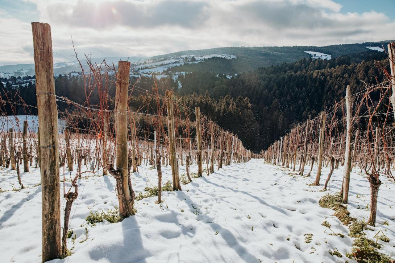 Weinstoeckl Hochgrail Pures Sein Βίλα Sankt Stefan ob Stainz Εξωτερικό φωτογραφία